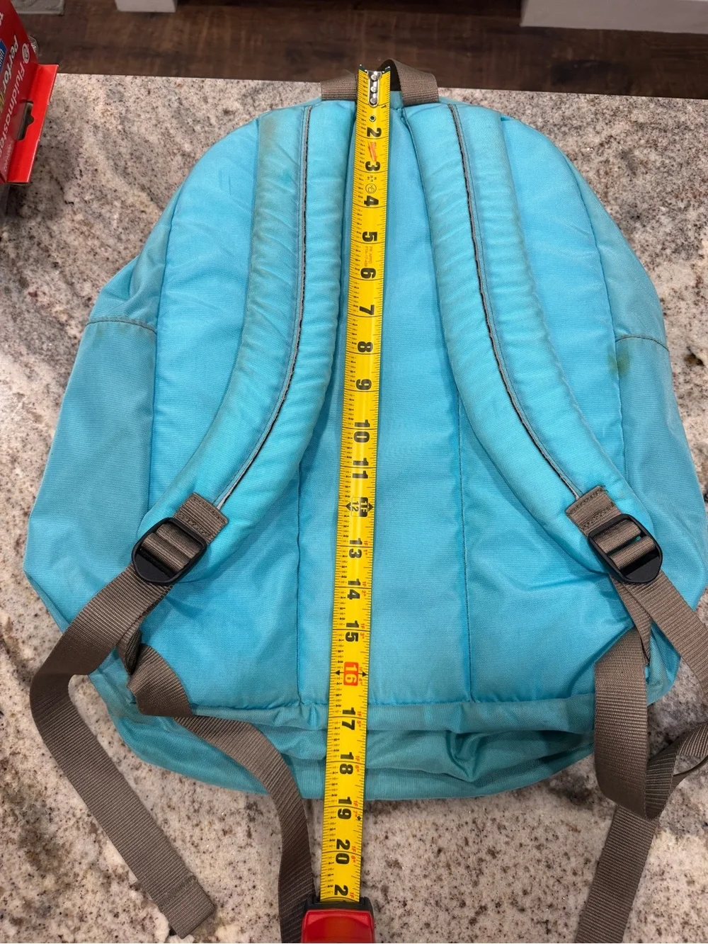L.L. Bean lightweight pack
